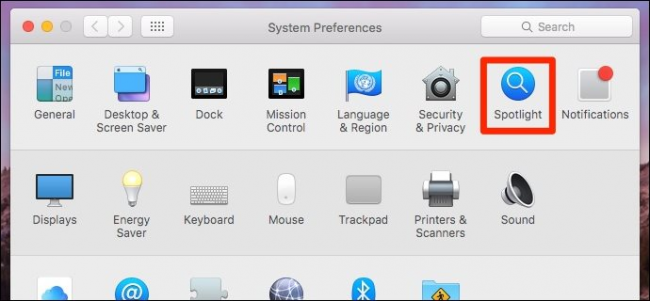 Окно «Spotlight» в Системных настройках