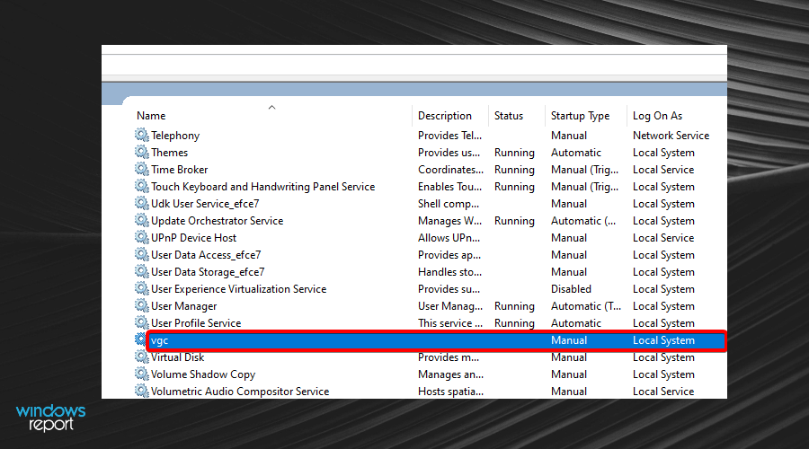 Список служб Windows с vgc