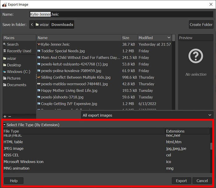 GIMP выбор типа файла