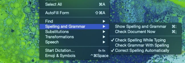 Снимок экрана: меню правописания и грамматики в приложении Safari