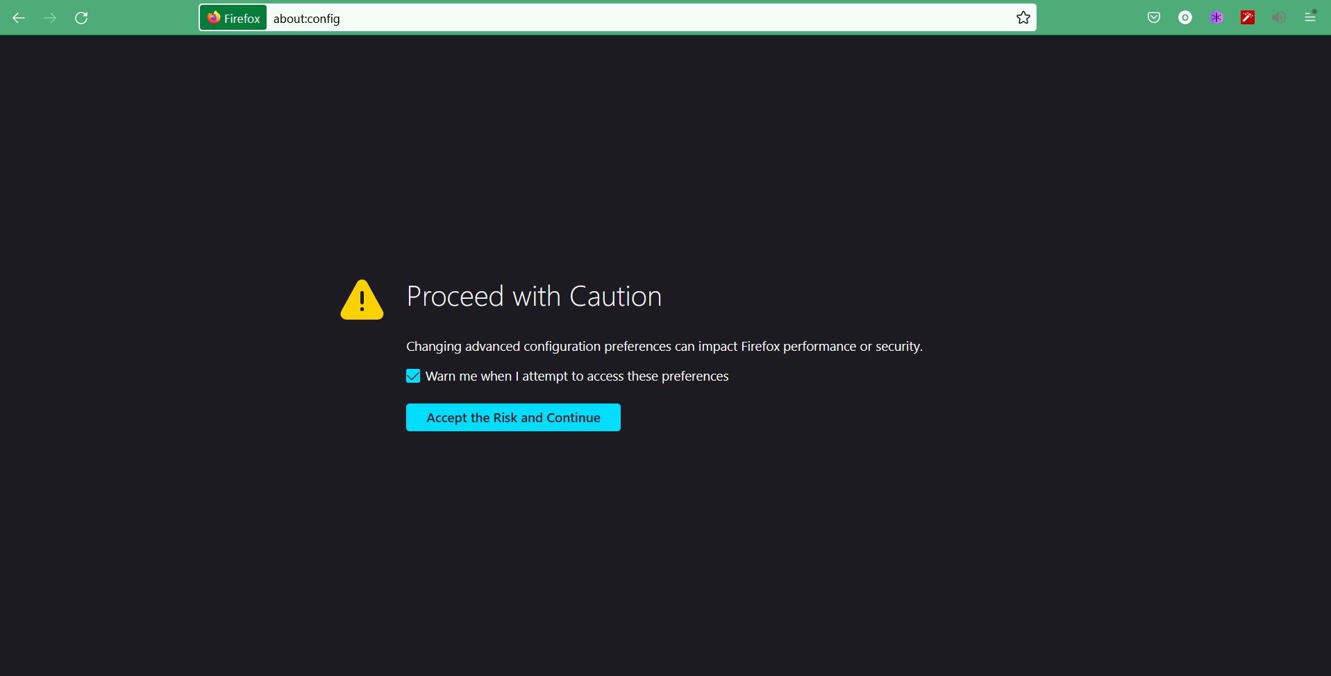 Страница дополнительных настроек Firefox