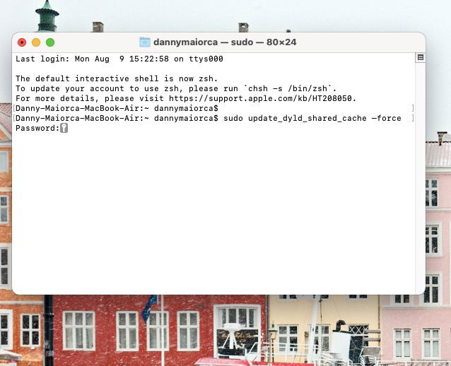 Окно Терминала с кодом