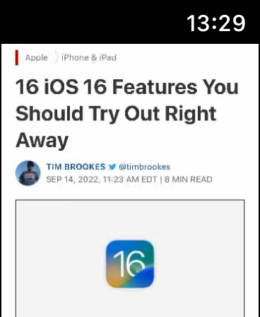 Ещё один скриншот Parrity на часах