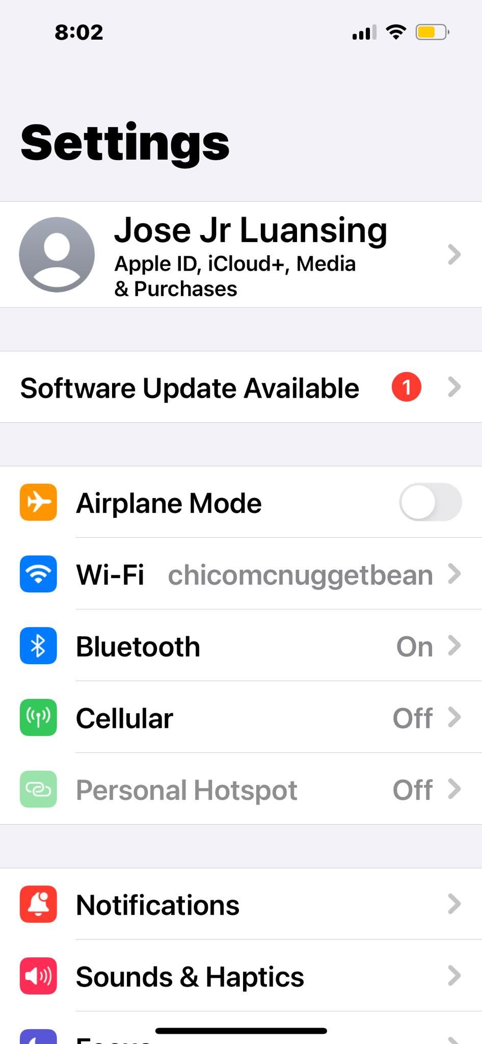 Меню Настроек iPhone с выбором приложения