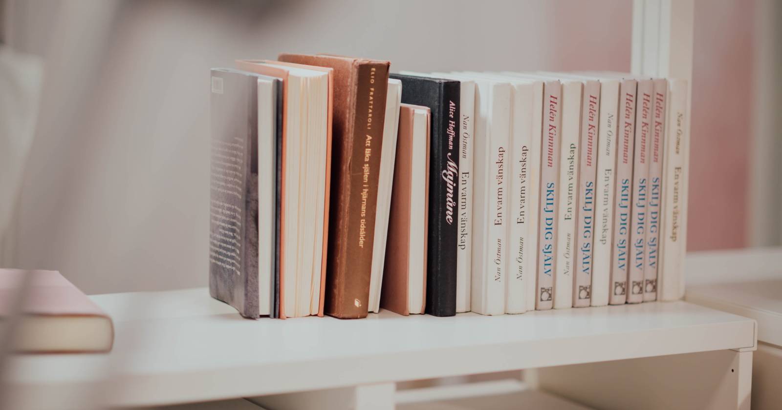 Книги на полке, иллюстрация для начала руководства