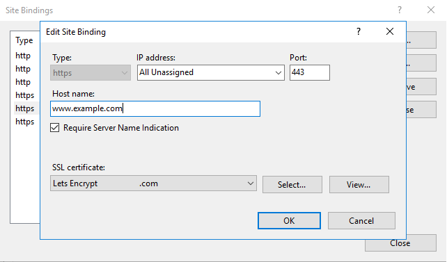 Окно Site Bindings в IIS