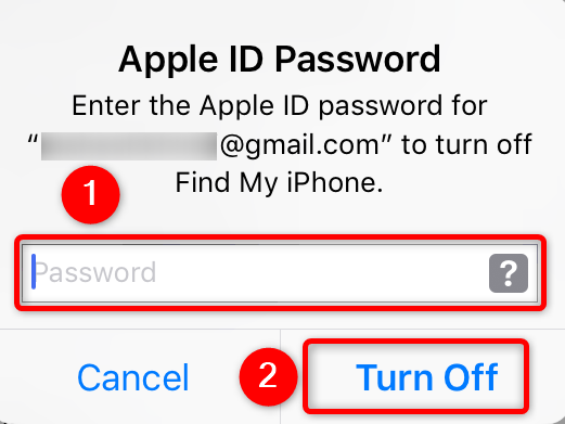 Ввод пароля для отключения «Найти iPhone»