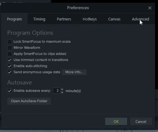 Окно настроек Camtasia — вкладка Параметры