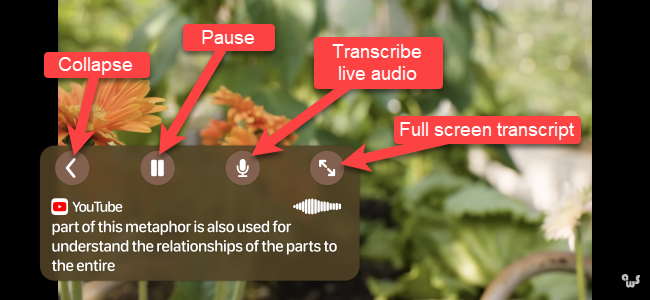 iPhone Live Captions text box.