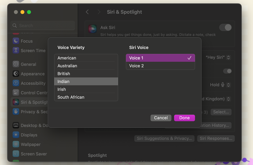Страница Siri и Поиск в Системных настройках