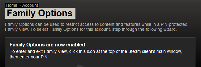 Подтверждение и тестирование Family Options в библиотеке