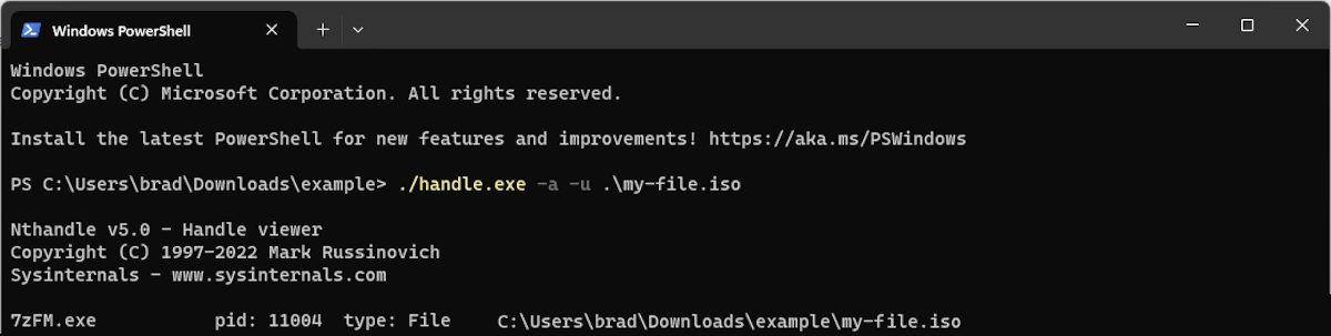Окно PowerShell с результатами работы handle.exe.