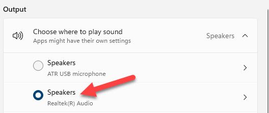 Список устройств воспроизведения в настройках звука, выделено первое устройство.