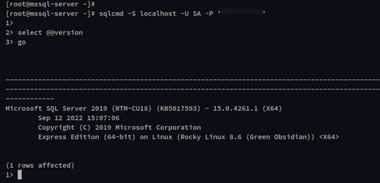 Скриншот: вывод версии SQL Server через sqlcmd