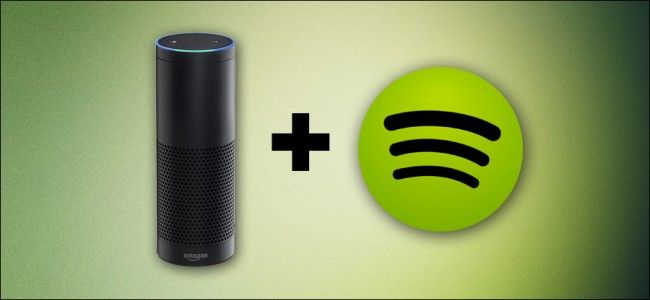 Spotify на Amazon Echo — как подключить и управлять