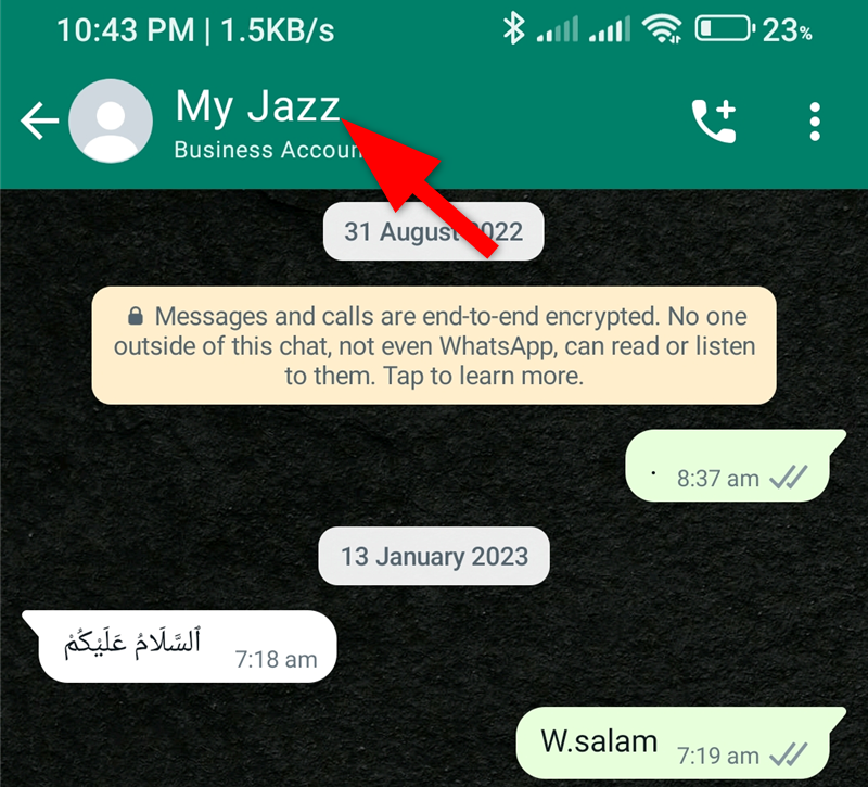 Открыт чат в WhatsApp, отображены параметры индивидуального чата