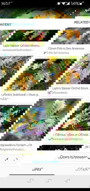 Perform Reverse Image Search Android Sherlock Orchid