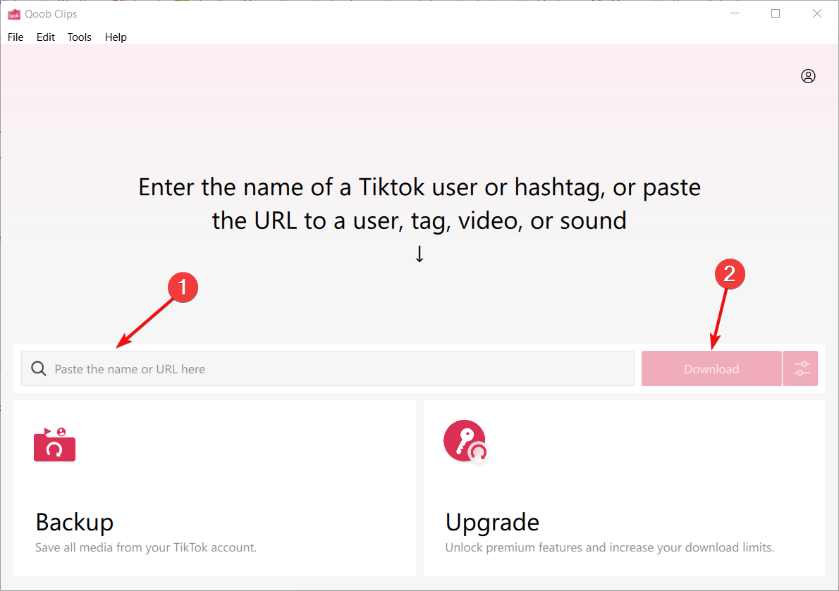 Qoob Clips — вставка имени пользователя или URL и кнопка Скачать