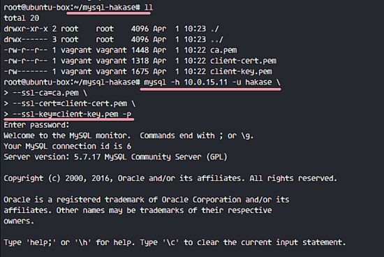 Удалённое подключение к MySQL серверу по SSL