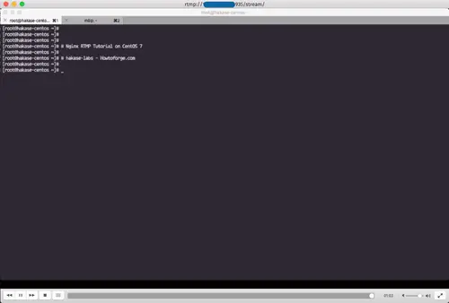 Результат live-стрима через nginx-rtmp