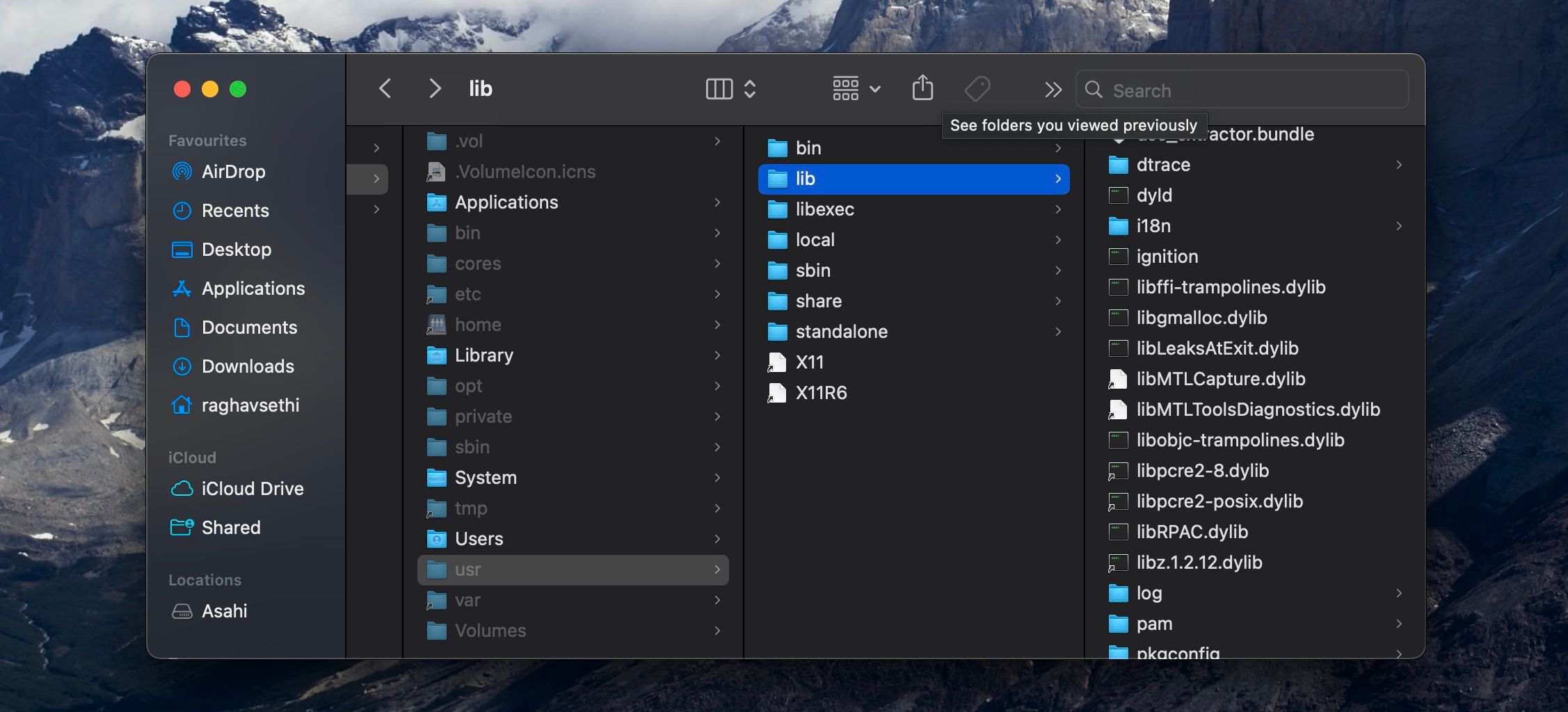 Открытая папка lib в macOS