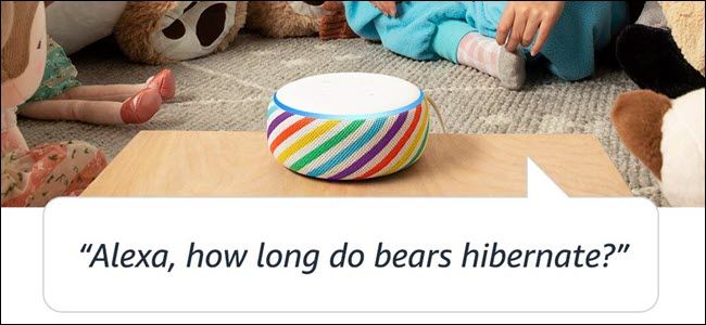 Echo Dot Kid's Edition на тумбочке в детской комнате, ребёнок задаёт вопрос голосовому помощнику