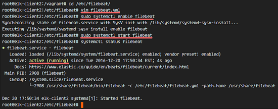 Filebeat запущен на клиенте Ubuntu