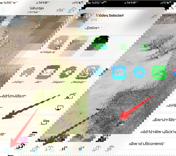 Сохранение видео в Файлы на iPhone