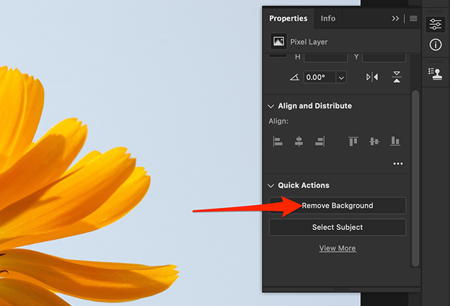 Выберите Remove Background в окне Properties