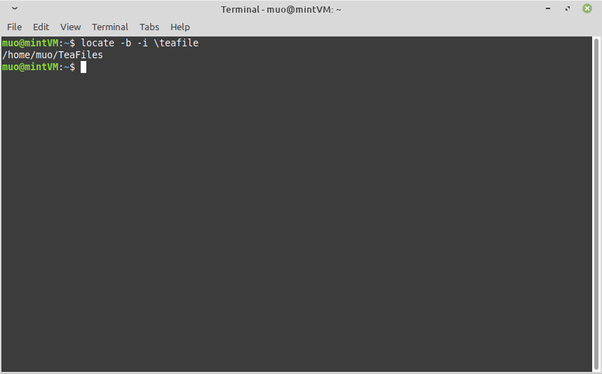 Поиск директорий с помощью locate в терминале