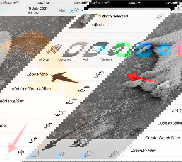 Копировать фото в iPhone