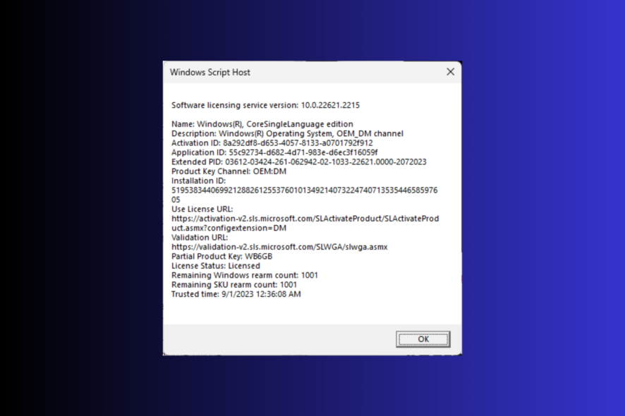 Проверить тип лицензии Windows 11