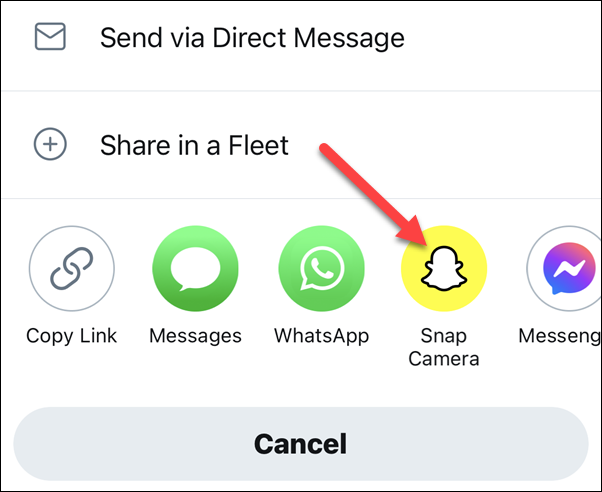 Выберите «Snap Camera» в меню общего доступа