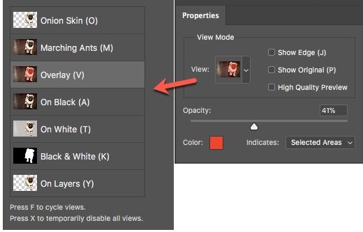 Параметры просмотра: Onion skin, Overlay