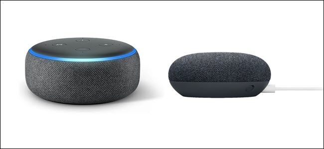 Колонки Amazon Echo и Google Nest Mini рядом