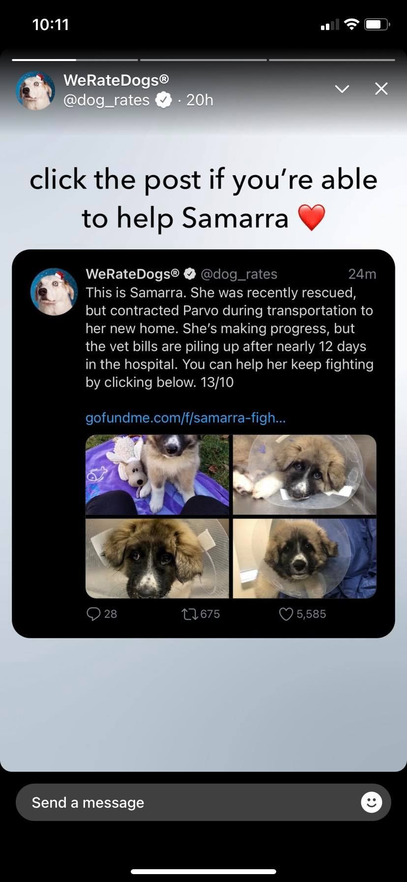 Скриншот Fleet в ленте Twitter