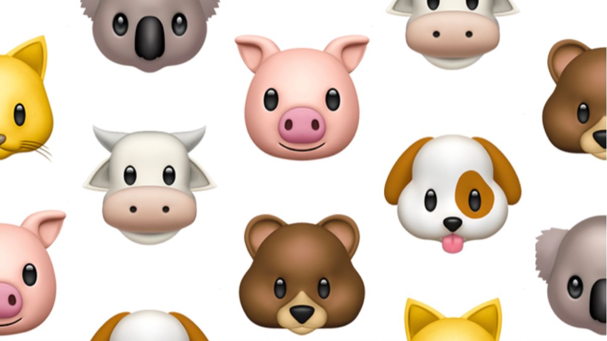 Как создать обои на iPhone (iOS 16+)