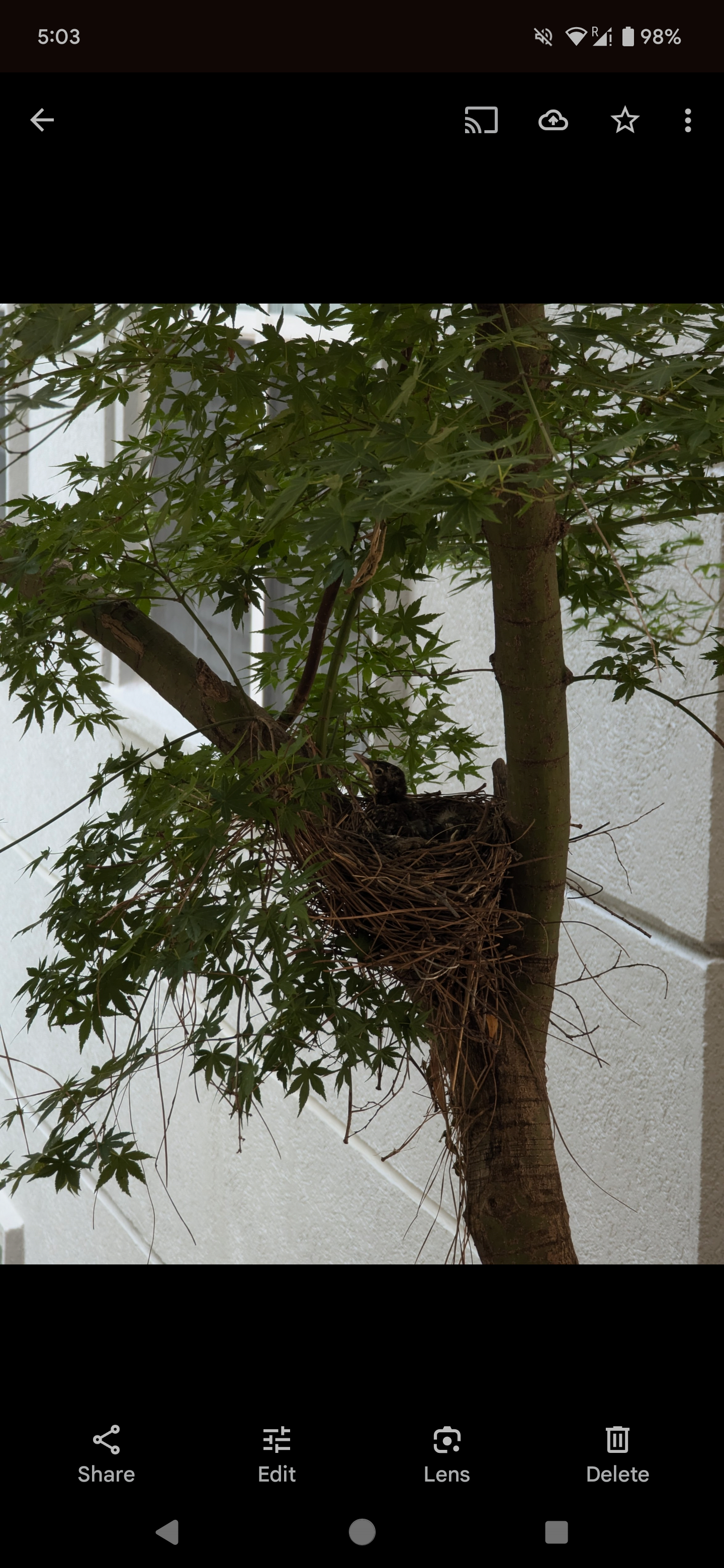Нажмите иконку Редактировать в нижней части экрана.