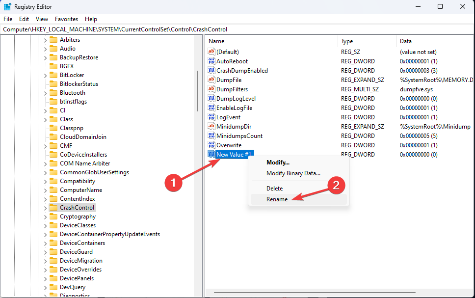 Переименование ключа реестра в DisplayParameters