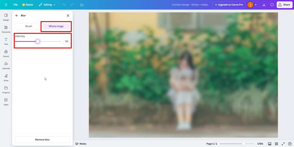 Опция размытия всего изображения и ползунок интенсивности