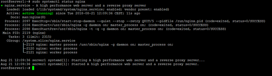 Статус Nginx: успешно