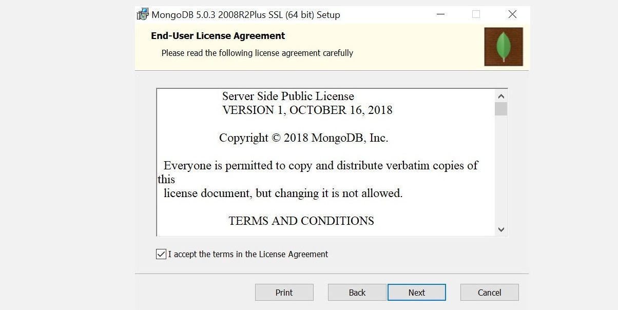 Окно лицензионного соглашения установки MongoDB