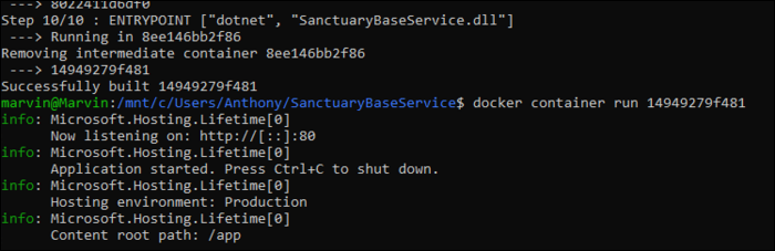 Run your container with docker container run, passing it in the ID of the build container