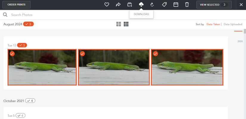 Выделение диапазона дат для скачивания в Shutterfly
