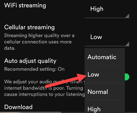 Выбор качества потоковой передачи в настройках Spotify