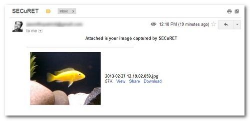 Пример оповещения по email с прикреплённым снимком