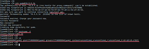 Тест входа по SSH с использованием FreeIPA-пользователя