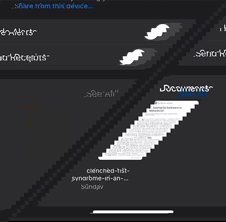 Список документов и файлов в разговоре iMessage