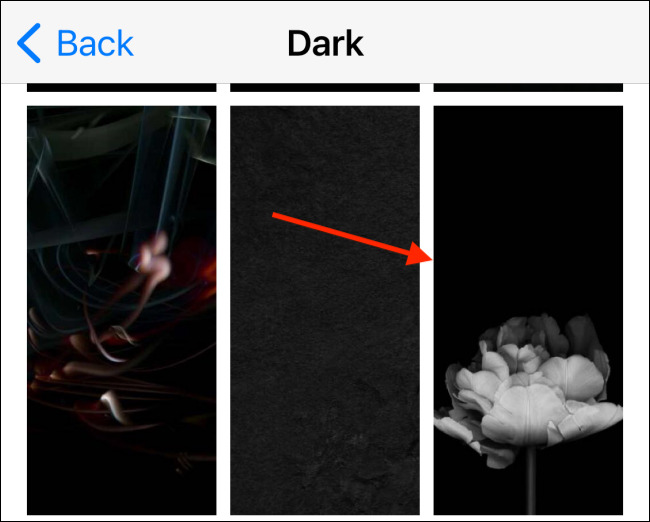Выберите изображение для обоев