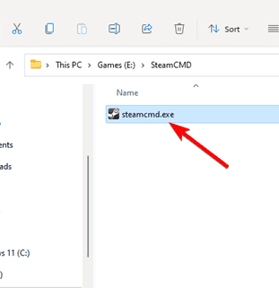 Запуск steamcmd.exe в Проводнике Windows